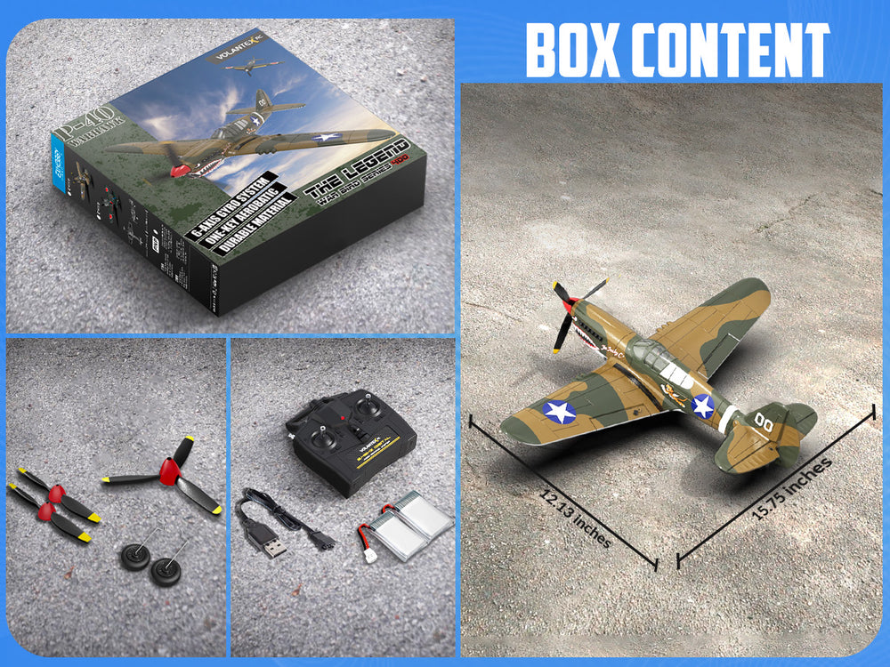 VOLANTEXRC P40 Warhawk RC プレーン 4CH RTF (XPilot 安定化機能付き)